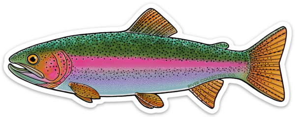 JUVENILE RAINBOW TROUT DECAL