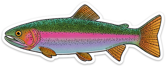 JUVENILE RAINBOW TROUT DECAL
