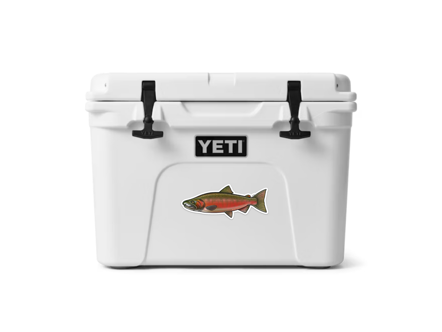 COHO SALMON DECAL (SPAWN)