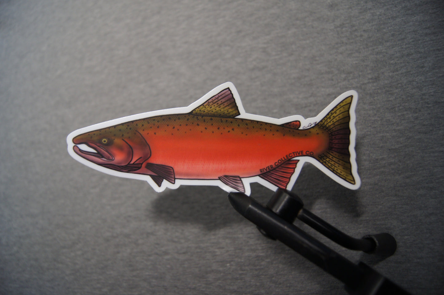 CHINOOK SALMON DECAL