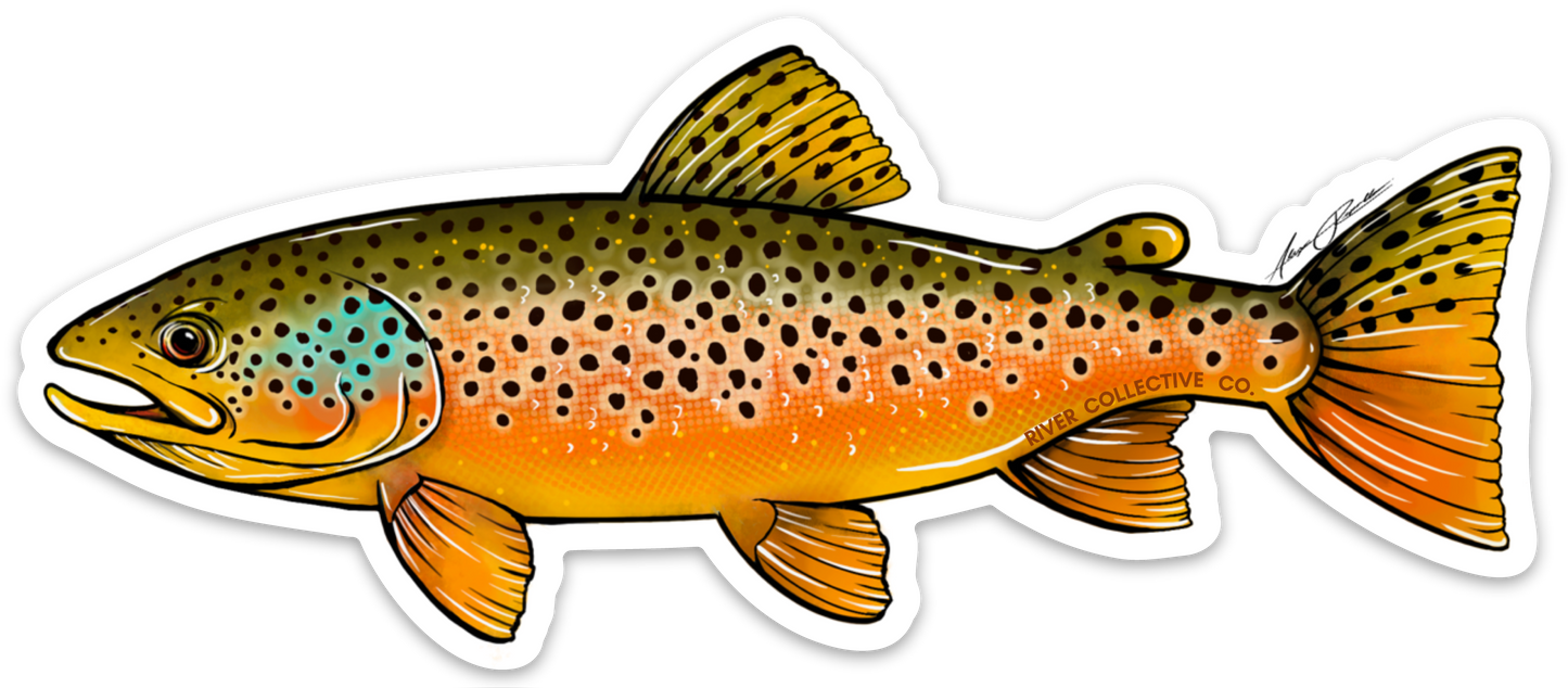 BROWN TROUT DECAL