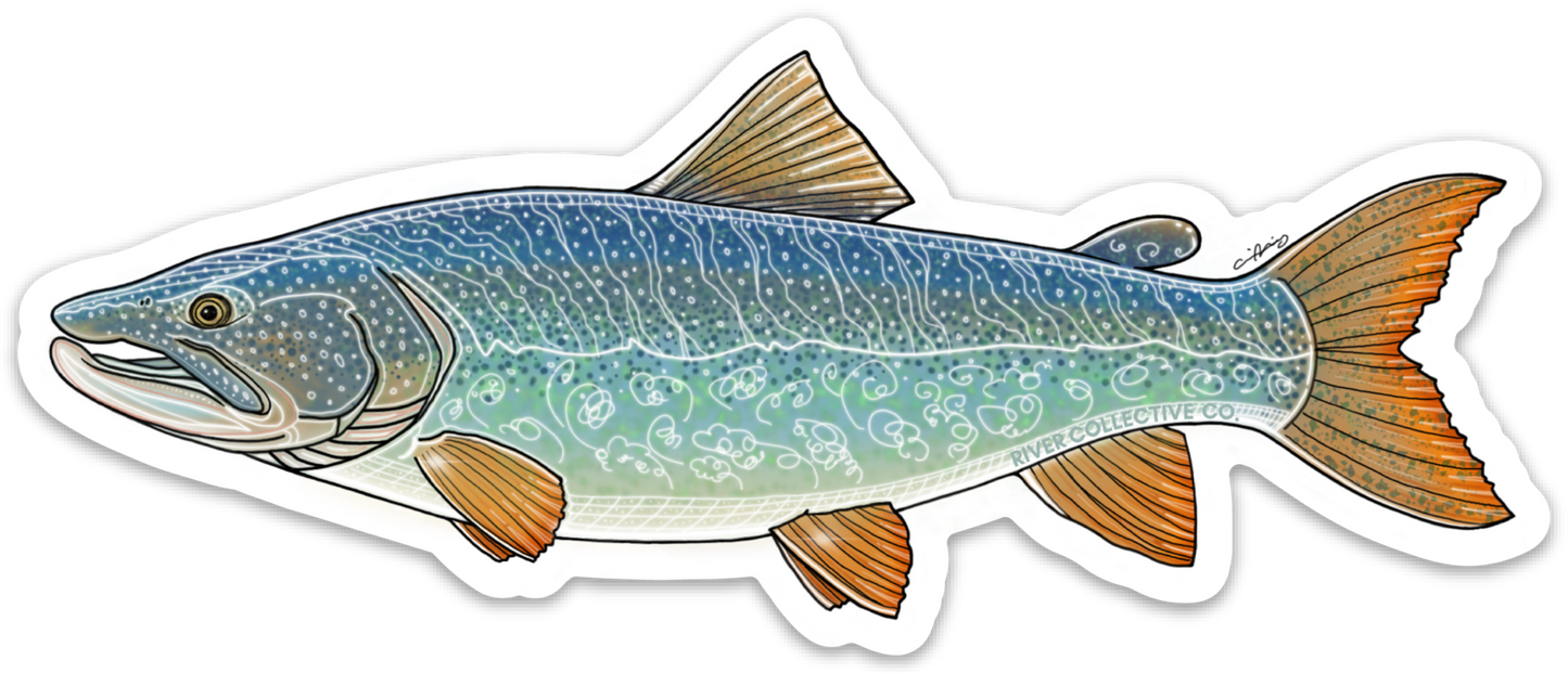 LAKE TROUT DECAL