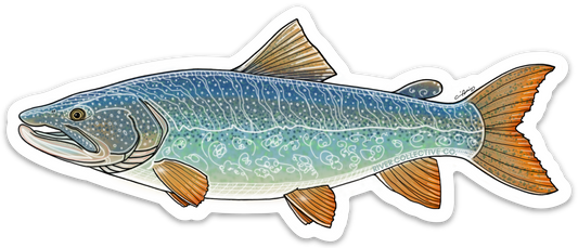 LAKE TROUT DECAL