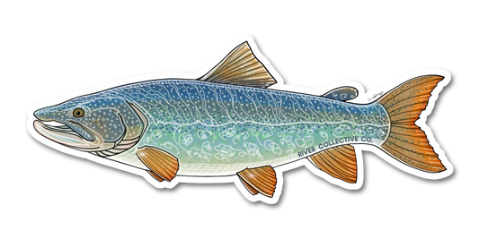 LAKE TROUT DECAL
