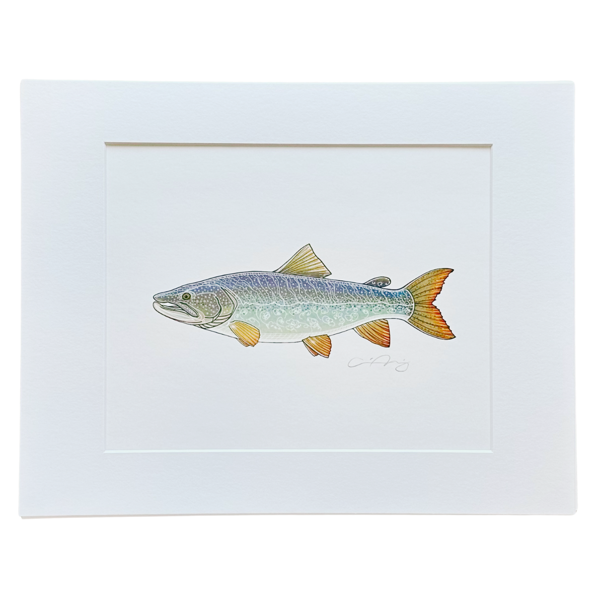 LAKE TROUT MATTED PRINT