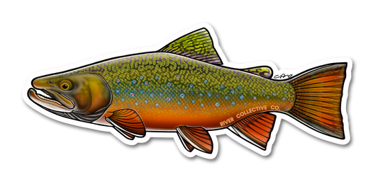 BROOK TROUT DECAL