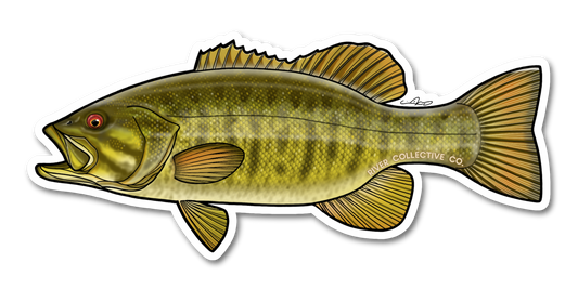SMALLMOUTH BASS DECAL