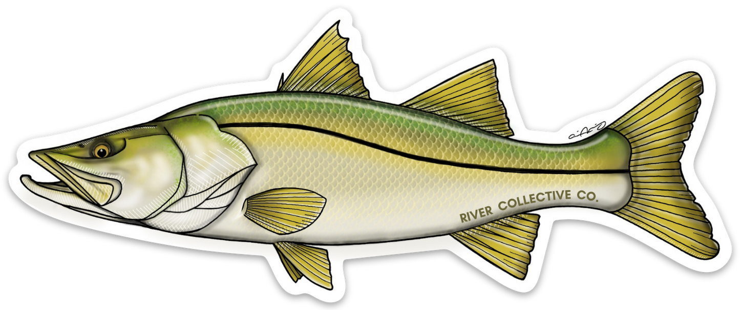 SNOOK DECAL