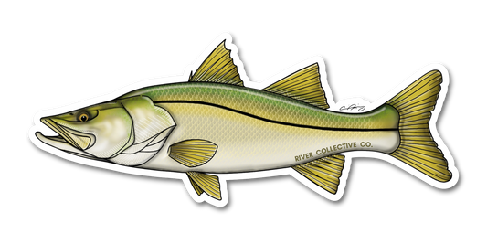 SNOOK DECAL