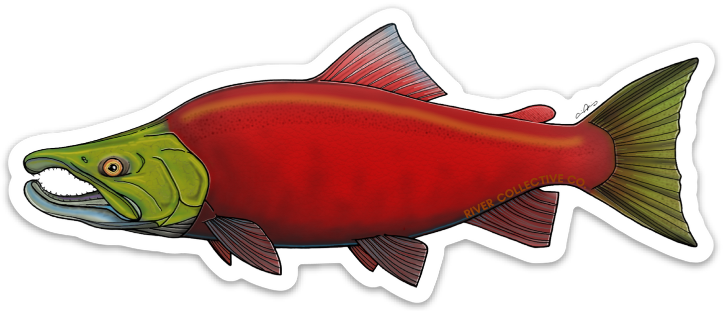SOCKEYE SALMON DECAL (FRESHWATER)