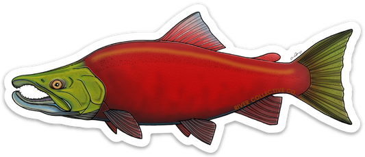 SOCKEYE SALMON DECAL (SPAWN)