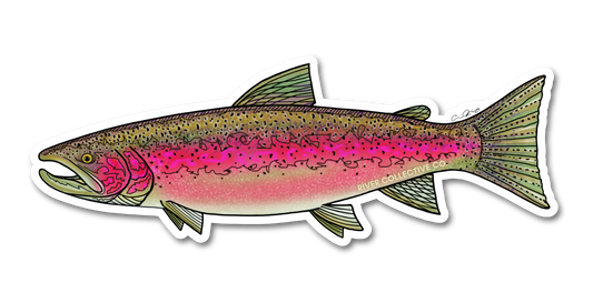 STEELHEAD DECAL (SPAWN)