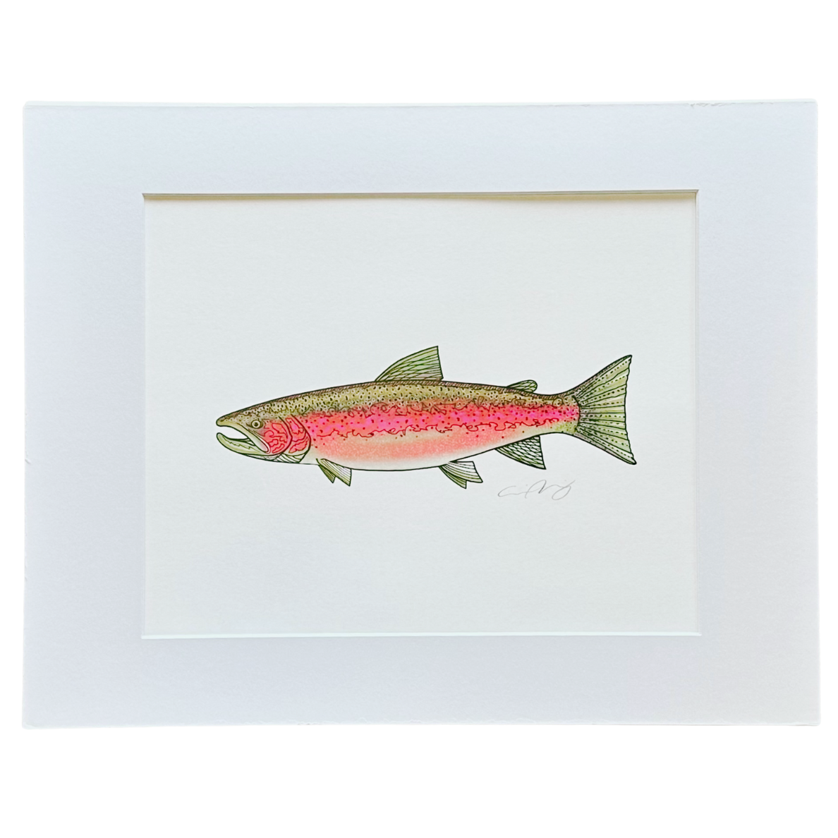 STEELHEAD MATTED PRINT