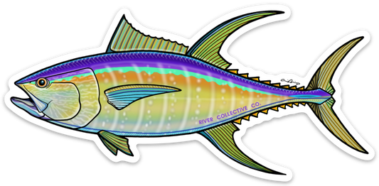 YELLOWFIN TUNA
