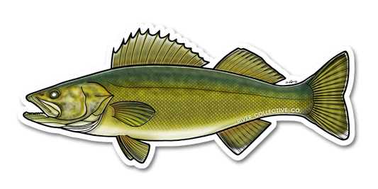 WALLEYE DECAL