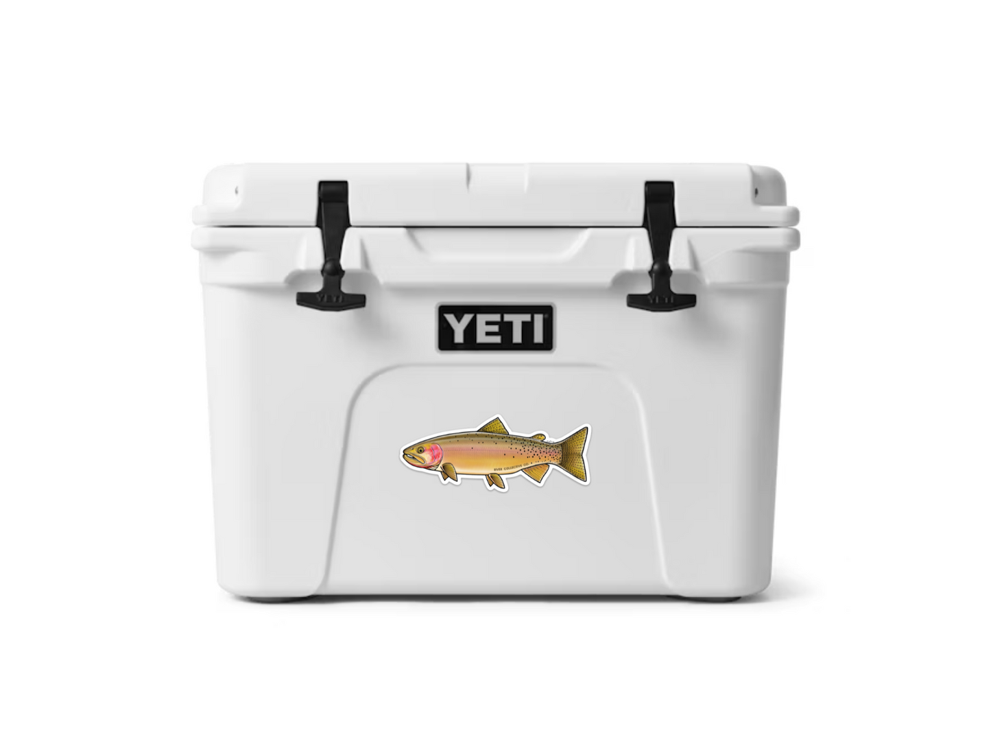 YELLOWSTONE CUTTHROAT TROUT