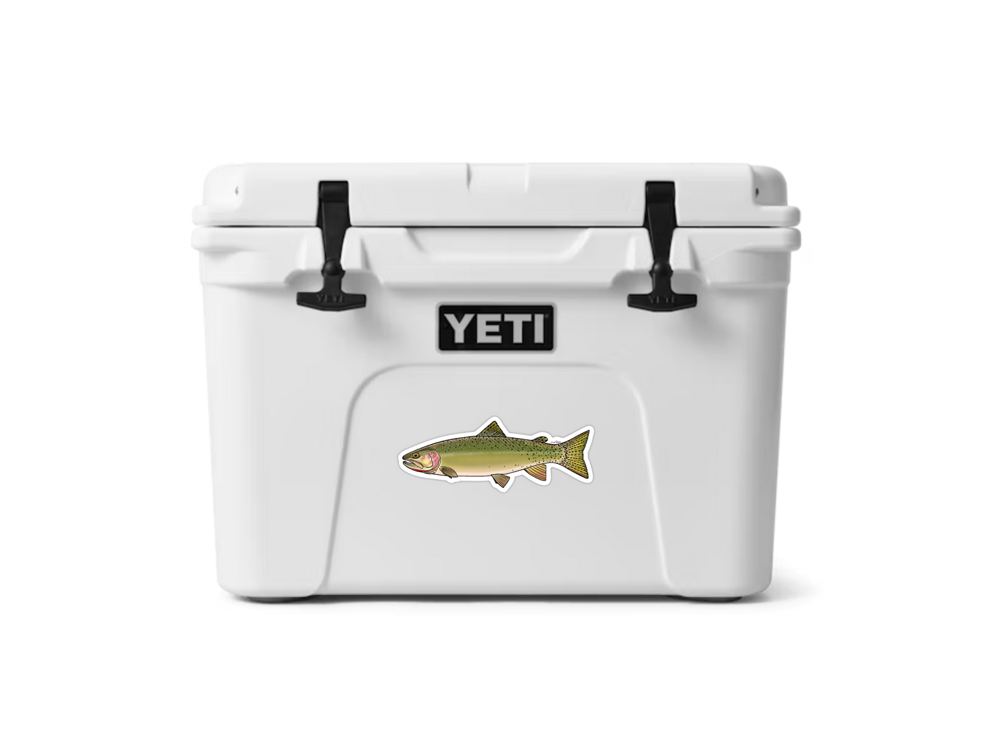 CUTTHROAT TROUT