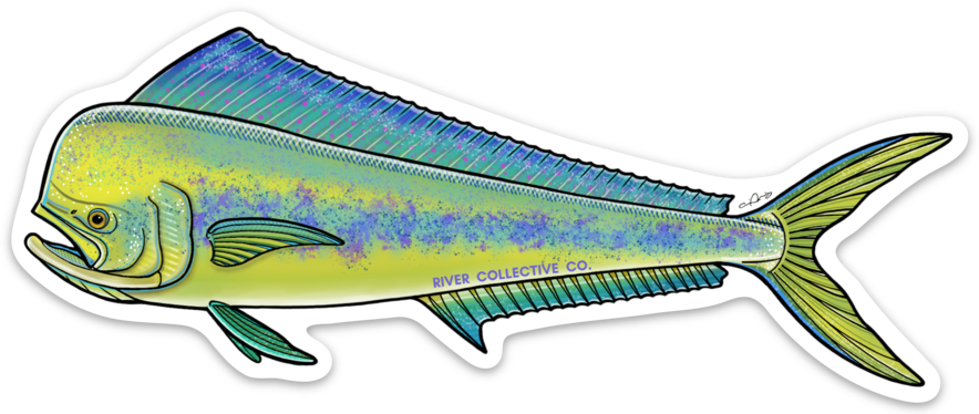 MAHI-MAHI