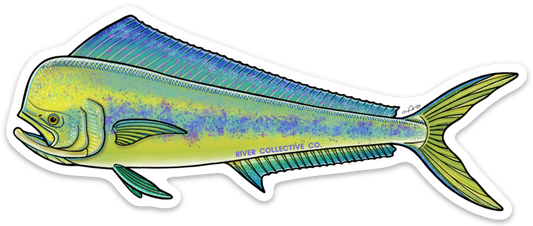 MAHI-MAHI