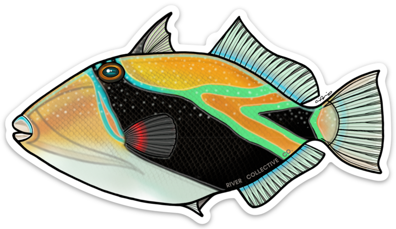 REEF TRIGGERFISH