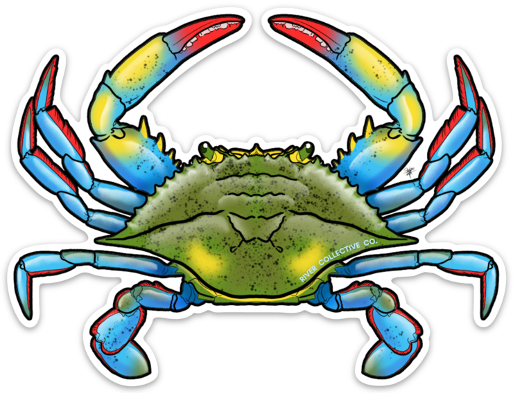 BLUE CRAB