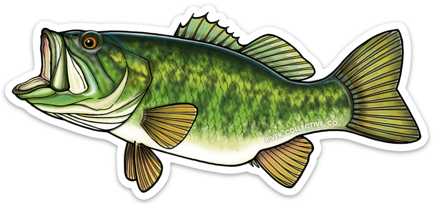 LARGEMOUTH BASS