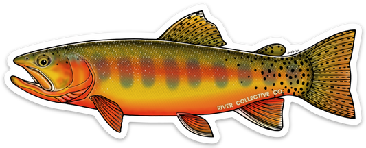 GOLDEN TROUT DECAL