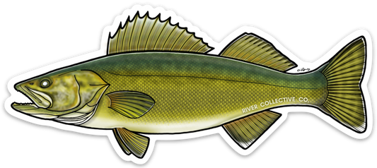 WALLEYE DECAL