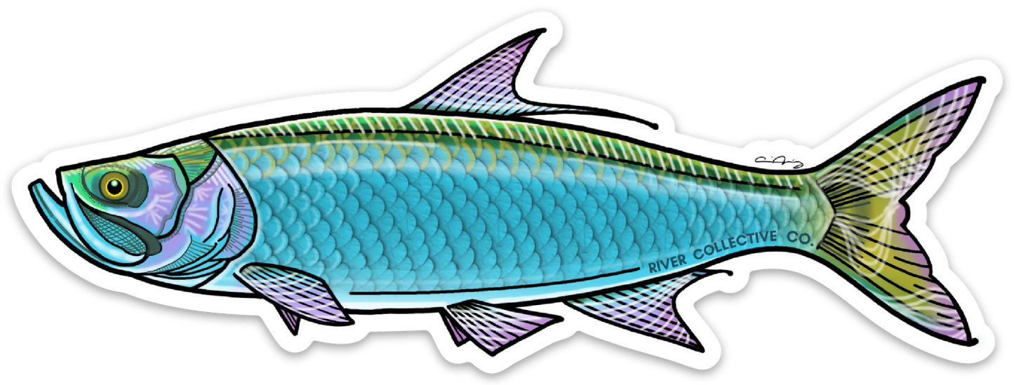 TARPON DECAL