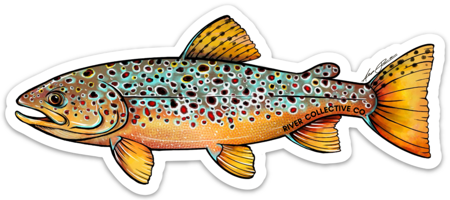 Brown Trout Decal / Swimming Fly Fishing Art / Vinyl Waterproof Sticker /  The Bonnie Fly Decals / Original Artwork / Angling Window Stickers