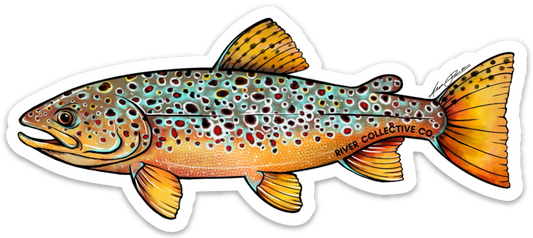 ABSTRACT BROWN TROUT DECAL