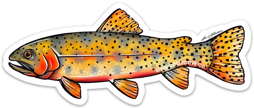 JUVENILE CUTTHROAT TROUT DECAL
