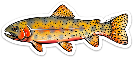 JUVENILE CUTTHROAT TROUT DECAL