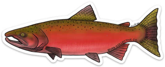 CHINOOK SALMON DECAL (SPAWN)