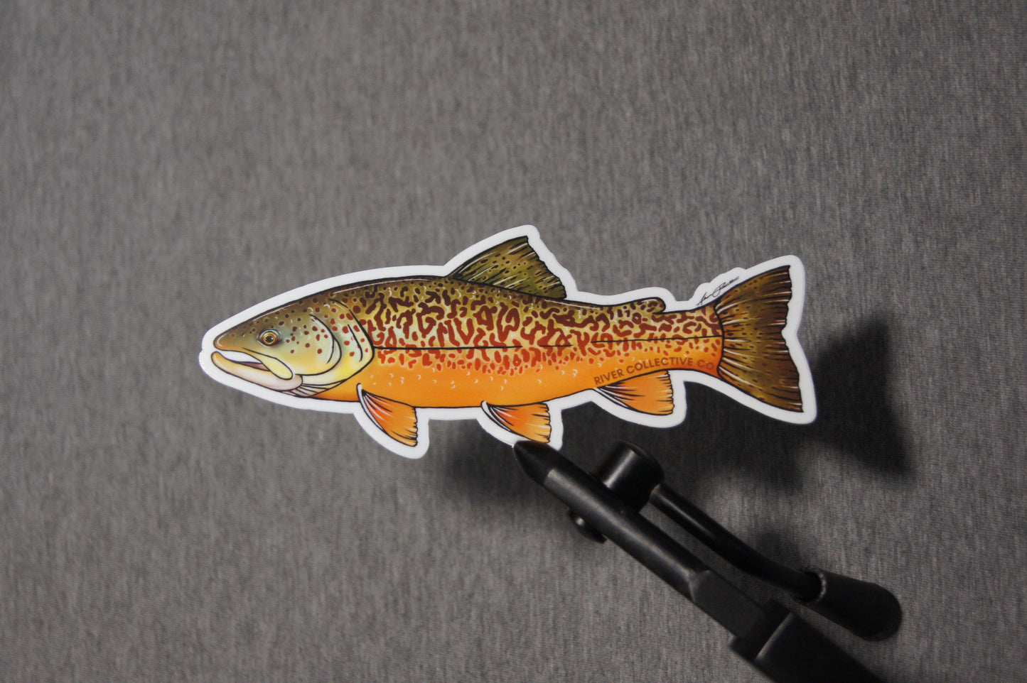 TIGER TROUT DECAL