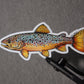 ABSTRACT BROWN TROUT DECAL