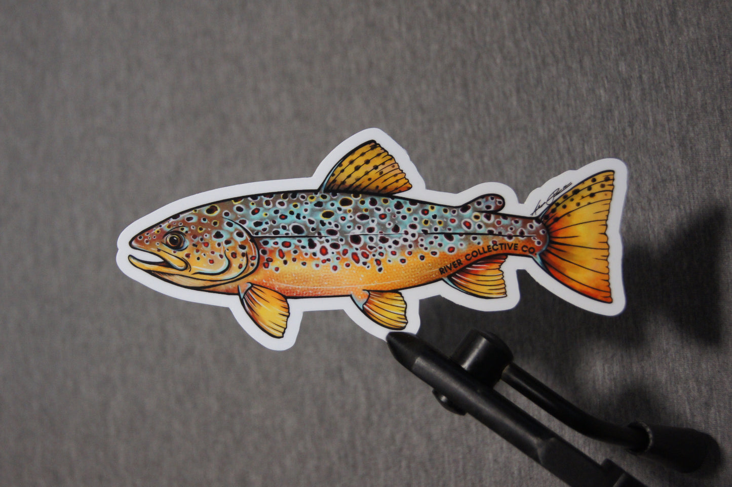 BROWN TROUT DECAL