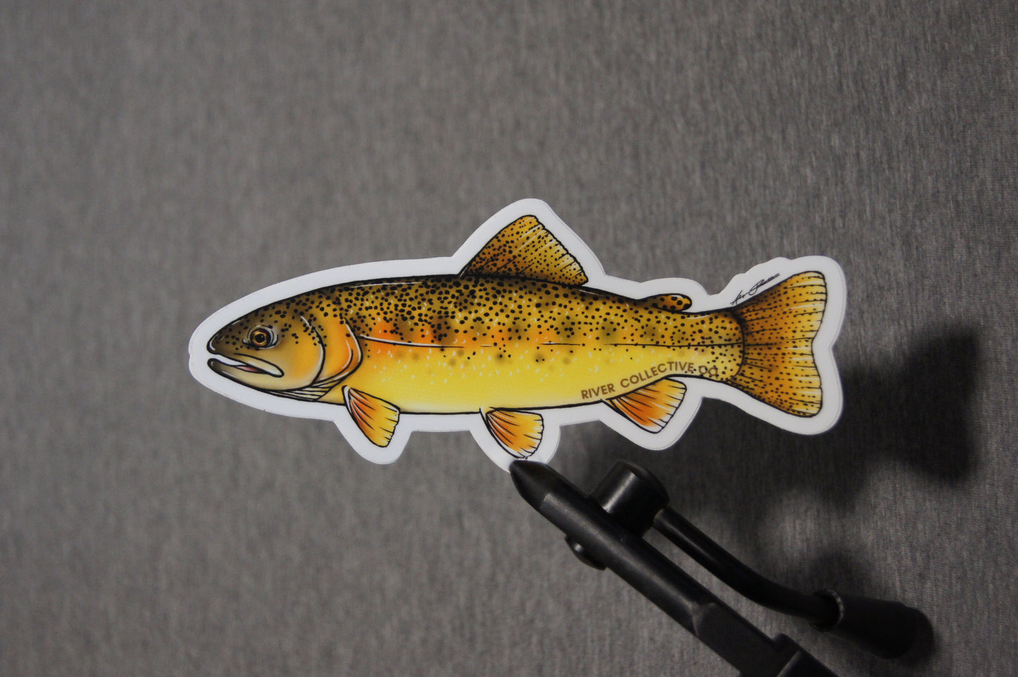 GILA TROUT DECAL