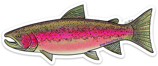 STEELHEAD DECAL