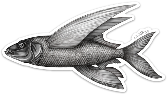 FLYING FISH DECAL