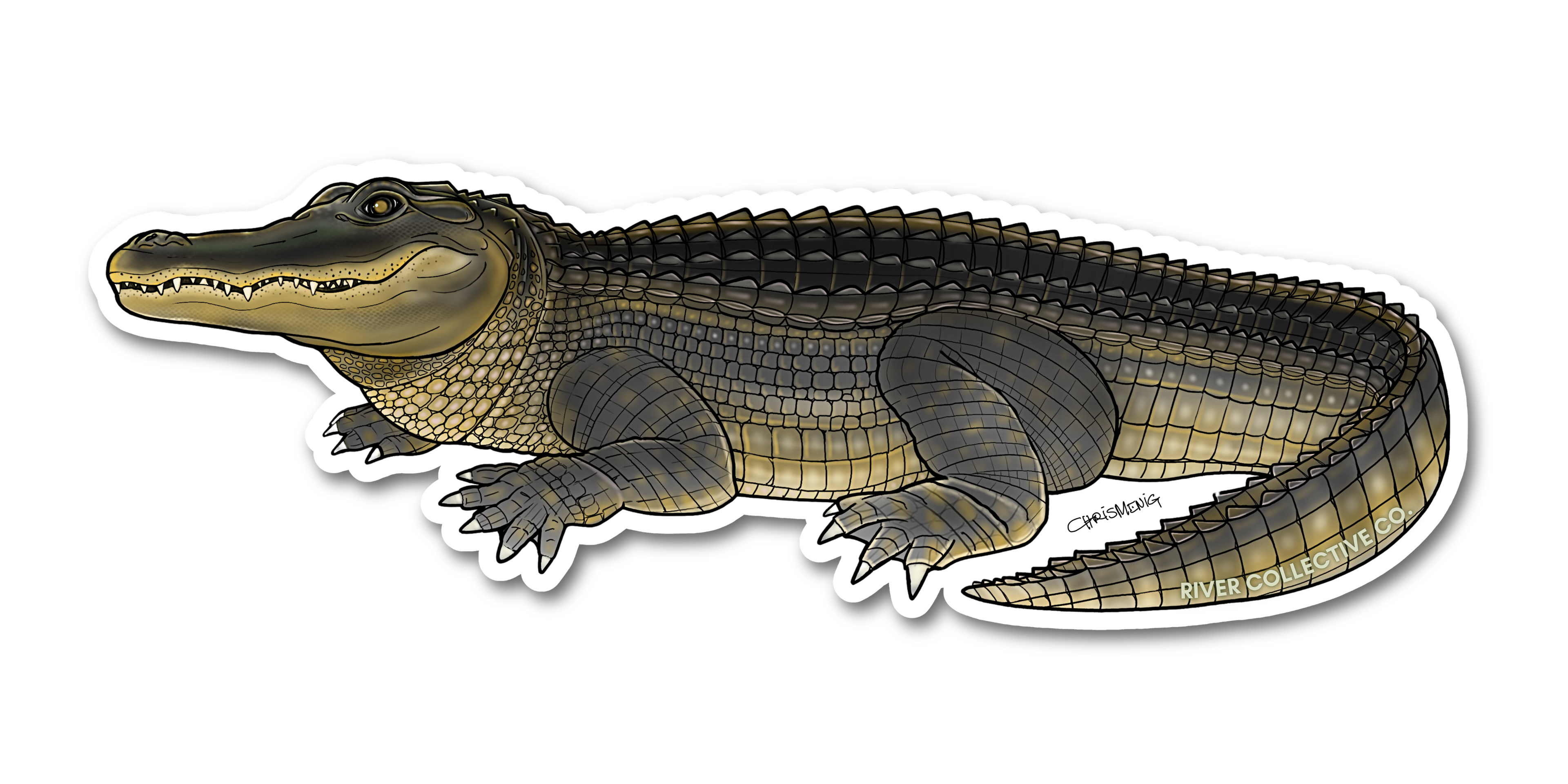 AMERICAN ALLIGATOR DECAL