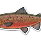 ATLANTIC SALMON DECAL (SPAWN)