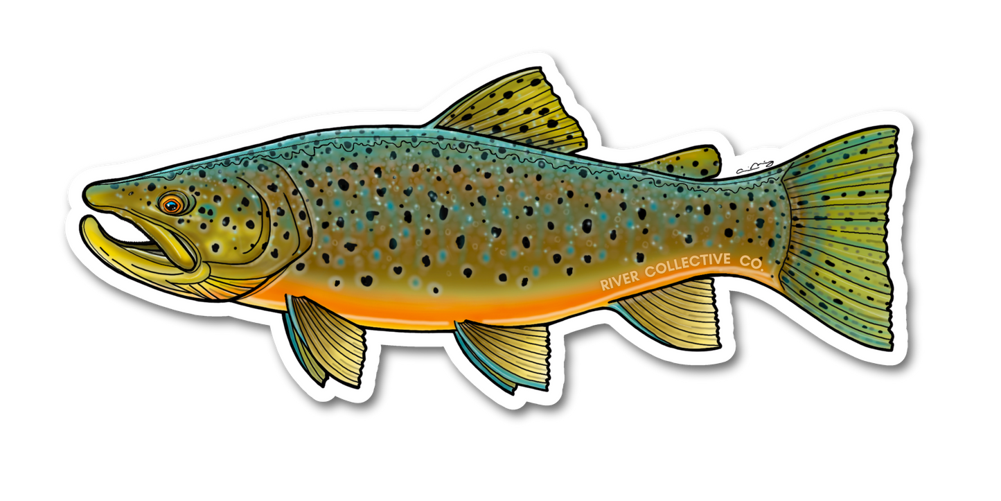 AUTUMN BROWN TROUT DECAL