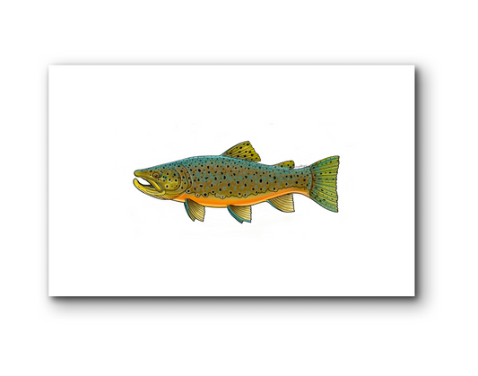 AUTUMN BROWN TROUT MATTED PRINT