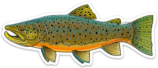 AUTUMN BROWN TROUT DECAL