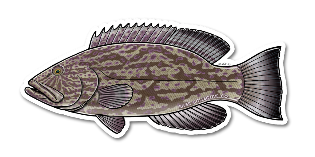 BLACK GROUPER DECAL