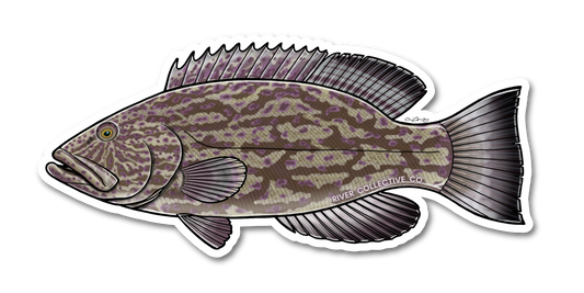 BLACK GROUPER DECAL