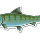 BONEFISH DECAL