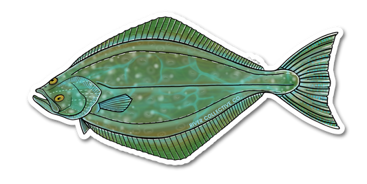 HALIBUT DECAL