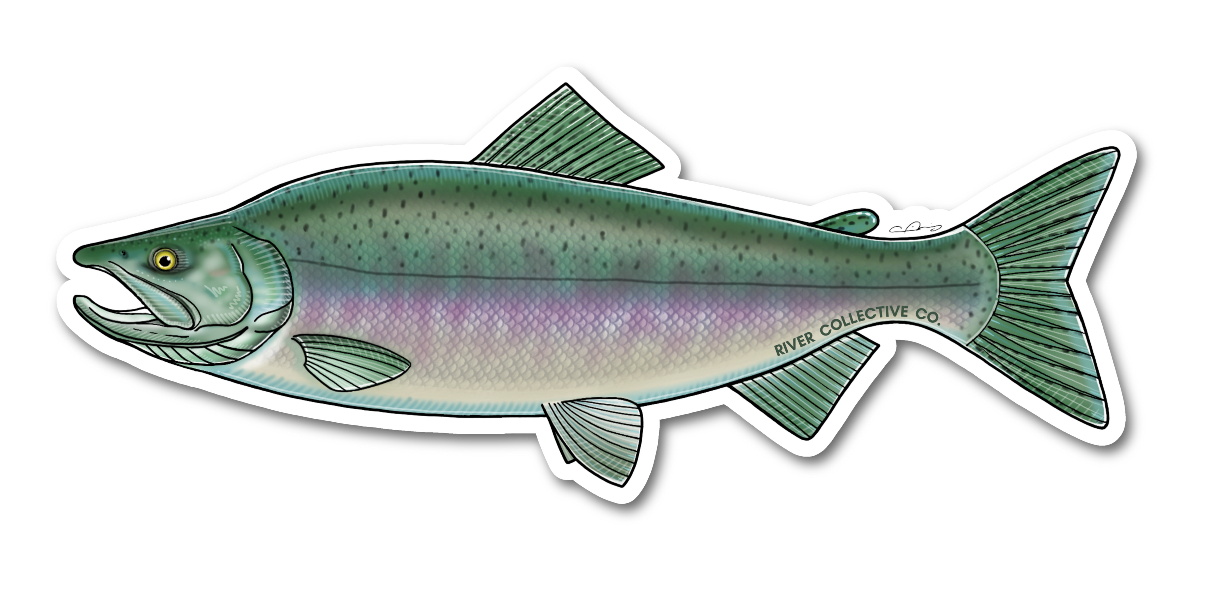 PINK SALMON (CHROME) DECAL STICKER – River Collective Co.